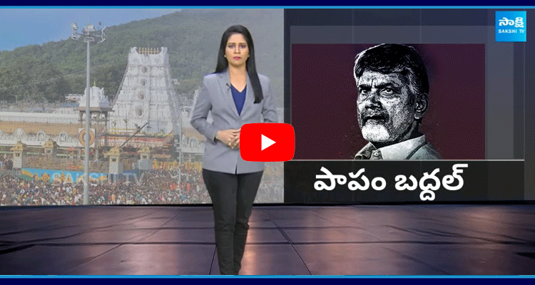 Special Story Over Chandrababu Comments On Tirumala Laddu 1