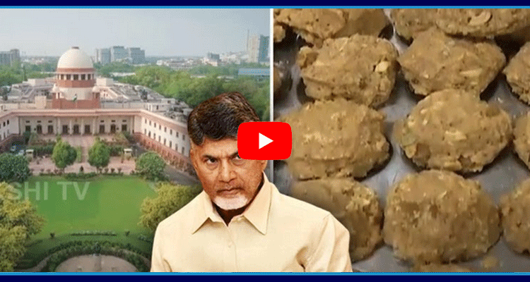 Chandrababu Tirumala Laddu Controversy In Supreme Court 5