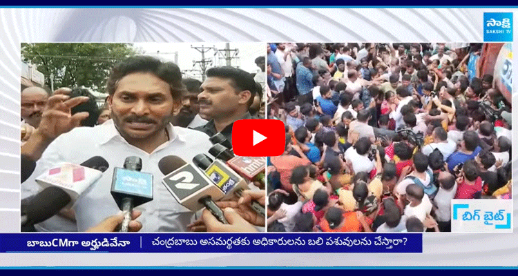 YS Jagan Mohan Reddy Sensational Comments On Chandrababu 1