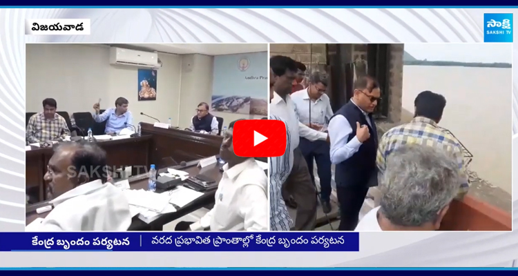 Central Team Visits AP Flood Affected Areas 4