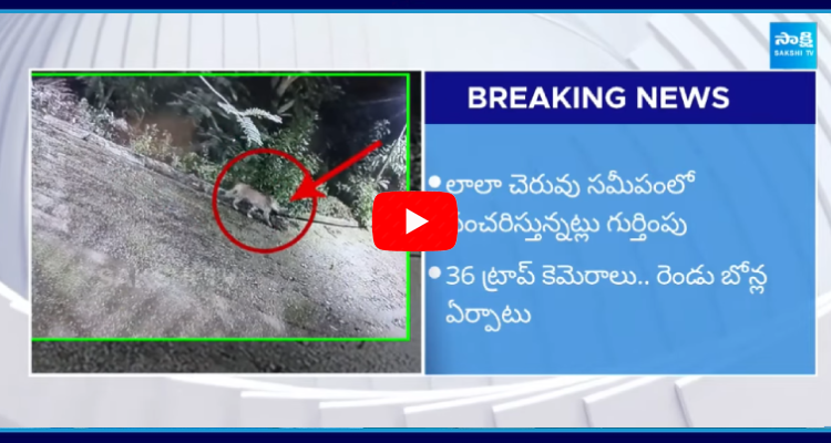 Leopard Spotted In Rajahmundry 1