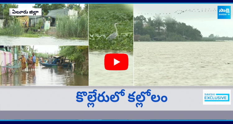  Special Ground Report On Kolleru Lake 1