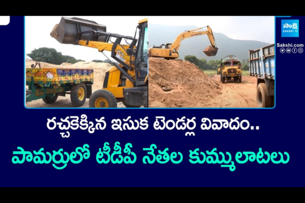 TDP in Pamarru  5