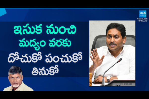 YS Jagan Comments Chandrababu Corruption 1