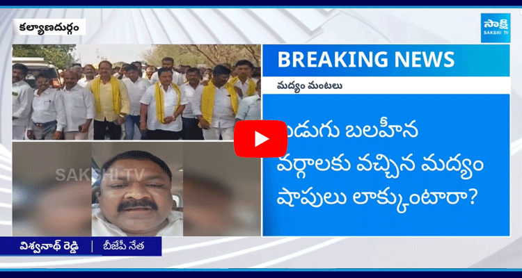 Kalyanadurgam BJP Leader Vishwanath Reddy Fires On TDP MLA Surendra Babu 4