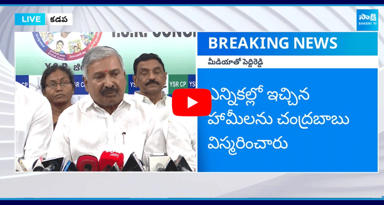 MLA Peddireddy Ramachandra Reddy Pressmeet 1