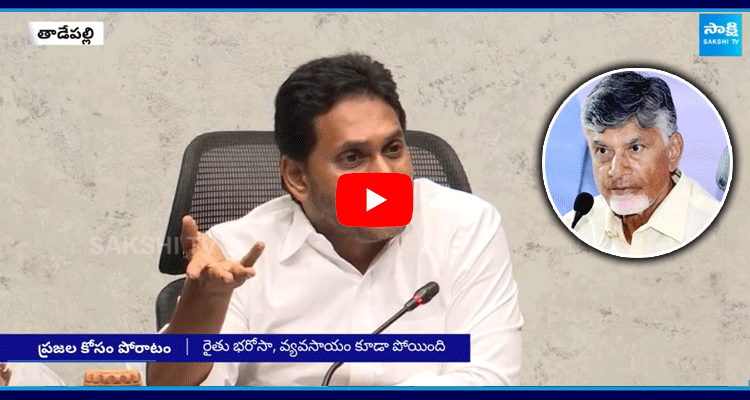 YS Jagan Mohan Reddy Comments Chandrababu Naidu 5