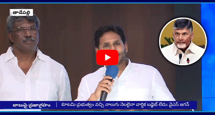 YS Jagan Comments On Chandrababu 3