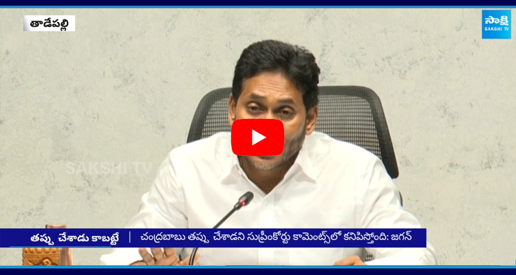 YS Jagan Shocking Comments On Chandrababu 2