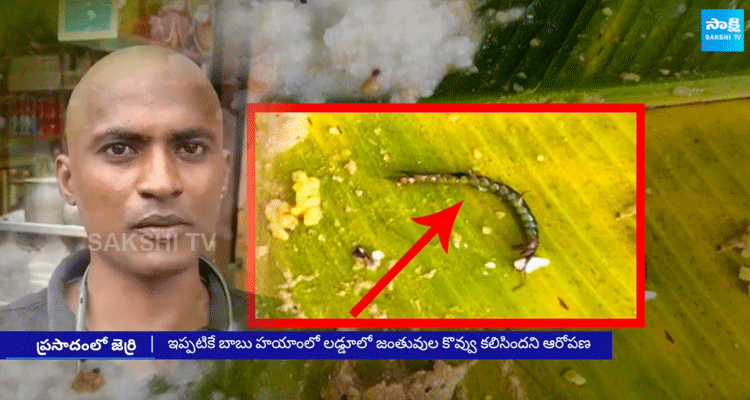  Insects In Tirumala Anna Prasadam 1