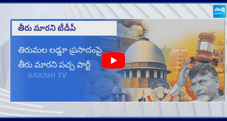 YS Jagan Serious On CM Chandrababu Naidu 5