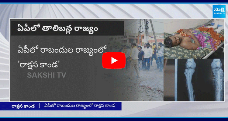 TDP Leaders Attack On YSRCP Workers 1