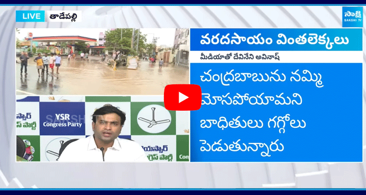 Devineni Avinash Shocking Comments On Chandrababu Government 5