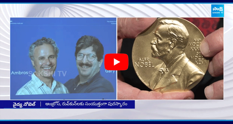 Victor Ambros Gary Ruvkun Win 2024 Nobel Medicine Prize 3