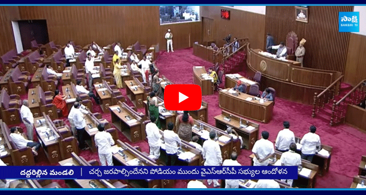 YSRCP MLCs Protest In Council 1