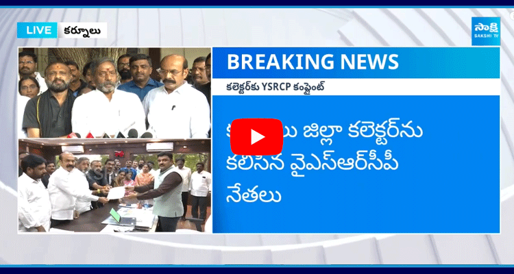 YSRCP Leaders Met With Kurnool District Collector  2