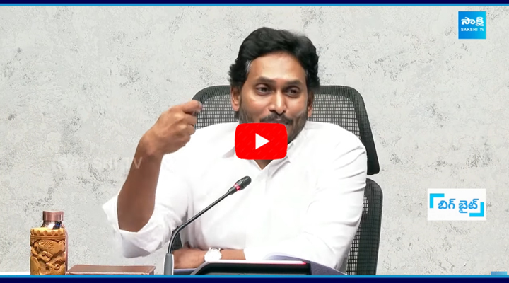 YS Jagan About Chandrababu Naidu And Team Criminal History 1