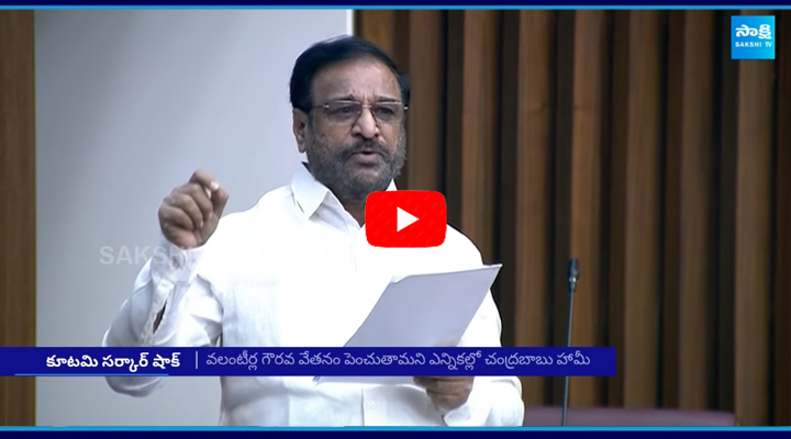 Chandrababu Govt Shocking Statement About AP Volunteers In Legislative Council Meeting 4