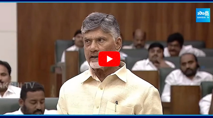 Chandrababu Shocking Comments on AP Roads  3