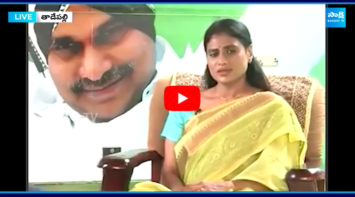 YS Sharmila about Balakrishna Insult Her in TDP Social Media  5