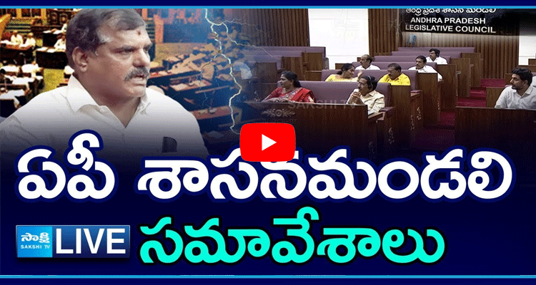 Watch Live AP Legislative Council Sessions 9th Day 4