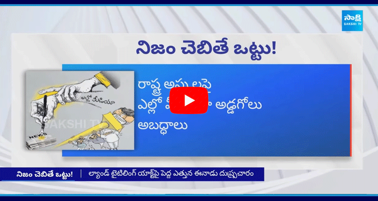 Chandrababu Government Lies 1