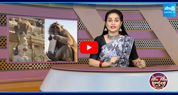 Monkey Steals Devotees Phone At Kondagattu Anjaneya Swamy Temple 5