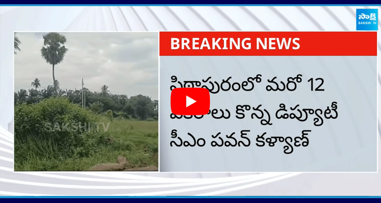 Pawan Kalyan Purchases Another 12 Acres In Pithapuram 5