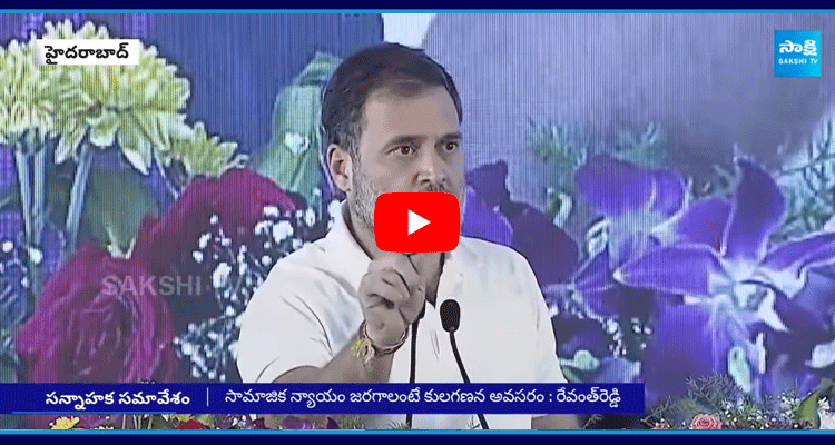 Rahul Gandhi Key Comments On Caste Census 2