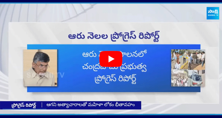 Chandrababu Goverment 6 Months Progress Report  1