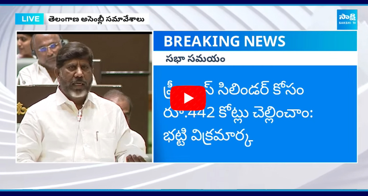 Deputy CM BBhatti Vikramarka On Telangana Debts In Assembly 1