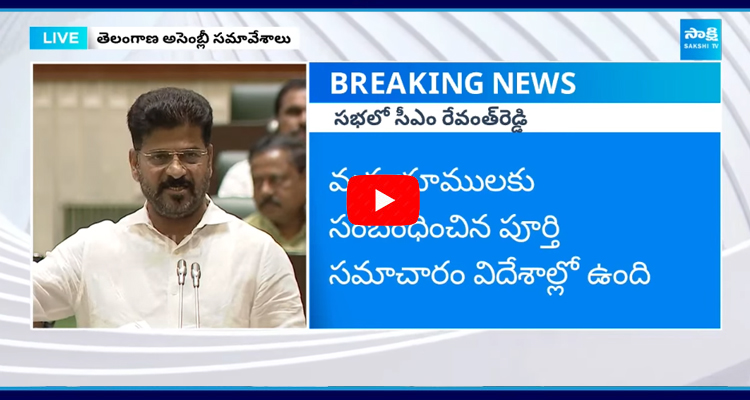 CM Revanth Reddy Reveled Shocking Facts About Dharani Portal 1