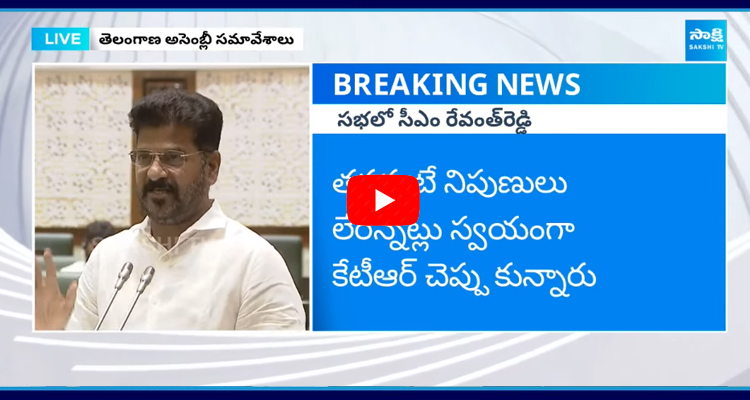 CM Revanth Reddy Shared Facts About Dharani Portal In Telangana Assembly  1