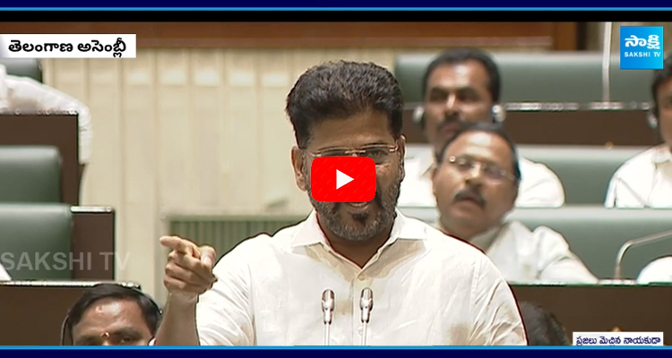 CM Revanth Reddy About Old City And Hyderabad Development At Telangana Assembly 1