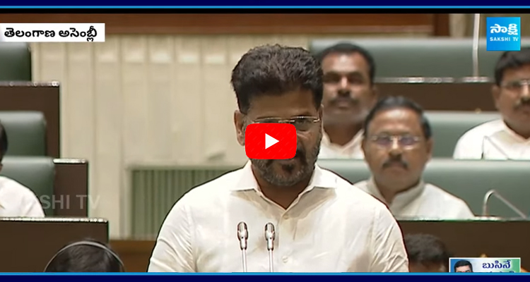 CM Revanth Reddy On Rythu Runa Mafi 2