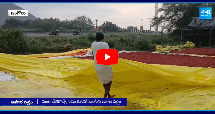 Huge Loss To Chilli Farmers In Prakasam District 1