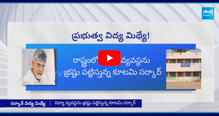 Andhra Pradesh Government About Govt Schools 1