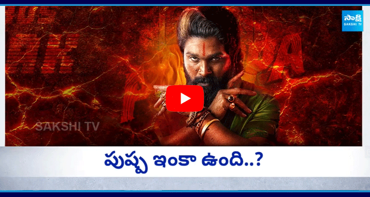 Allu Arjun Statements Plays Key Role In Sandhya Theater Incident 1