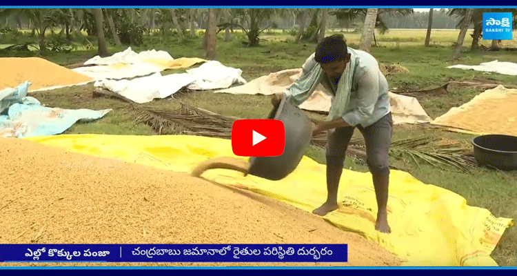 Alliance Government Conspiracy On AP Farmers  1