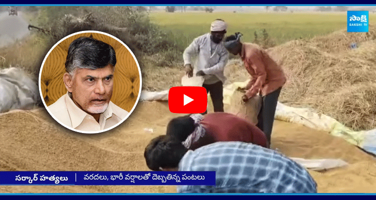 Chandrababu Government Negligence On AP Farmers 2