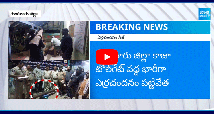 Red Sandalwood Seized In Guntur District 4