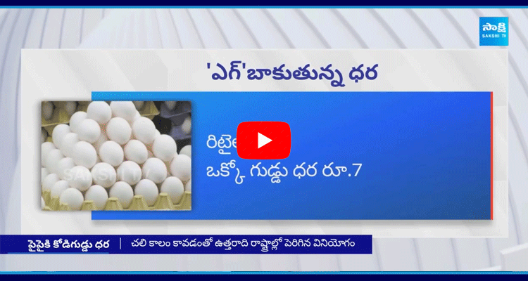 Eggs Price Hike In Andhra Pradesh 2