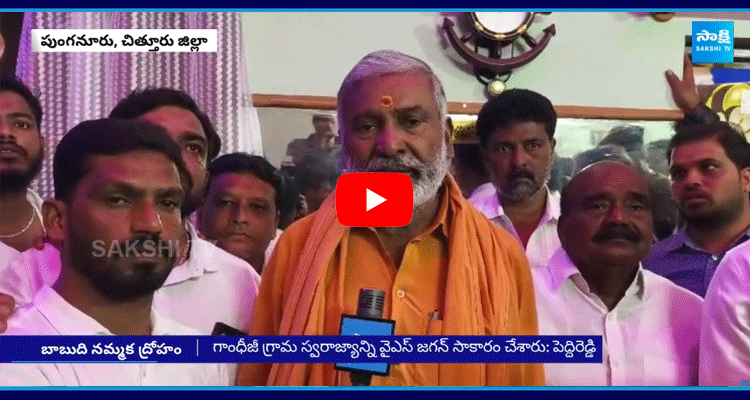 Peddireddy Ramachandra Reddy Fires On Chandrababu Over Volunteers Issue 1