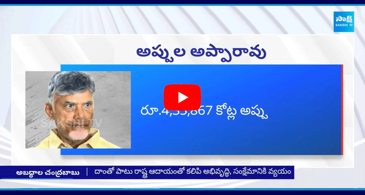 Chandrababu Gave Clarity On AP Debts 1