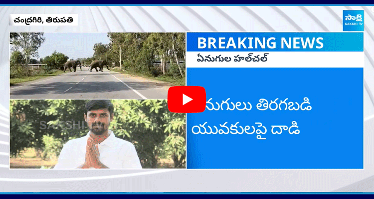 Elephant Attack On Sarpanch Rakesh In Tirupati 1