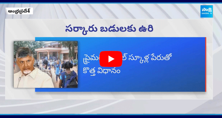 New Policy Of Primary Model Schools In AP 3