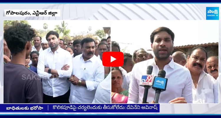 Devineni Avinash Demands Action On Kolikapudi Srinivasa Rao 1