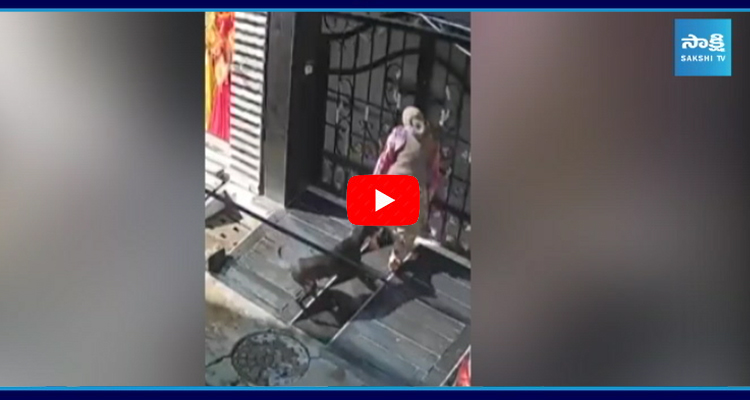 Dogs Attack Drag Elderly Woman In Punjab Khanna 1