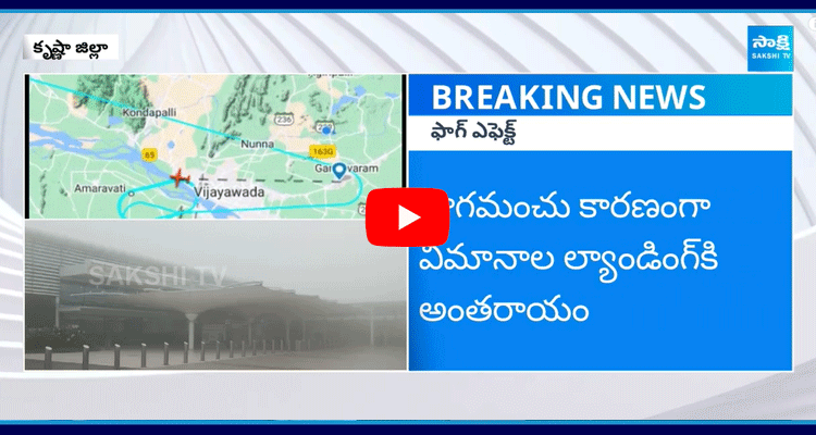 Fog Effect Interrupted To Flights Landing At Gannavaram Airport  1