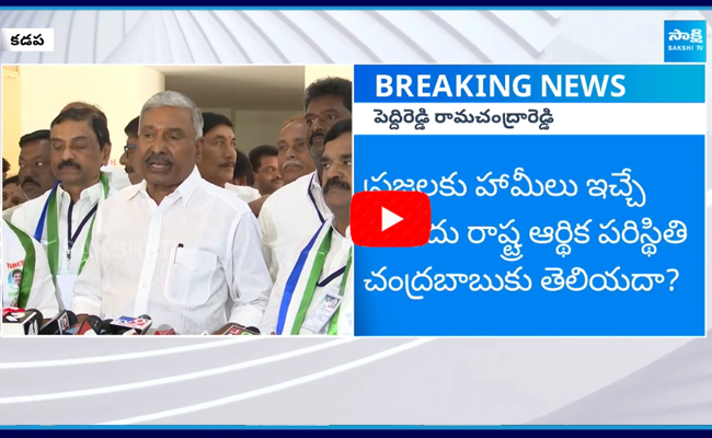 Peddireddy Ramachandra Reddy about Chandrababu 2